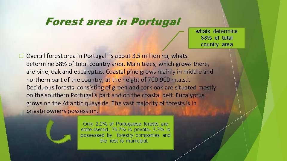 Forest area in Portugal � whats determine 38% of total country area Overall forest