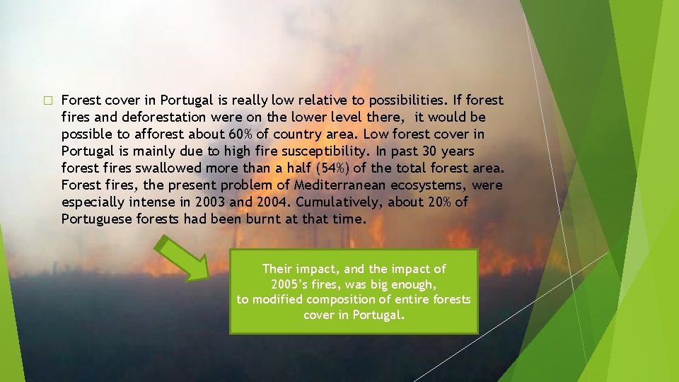 � Forest cover in Portugal is really low relative to possibilities. If forest fires