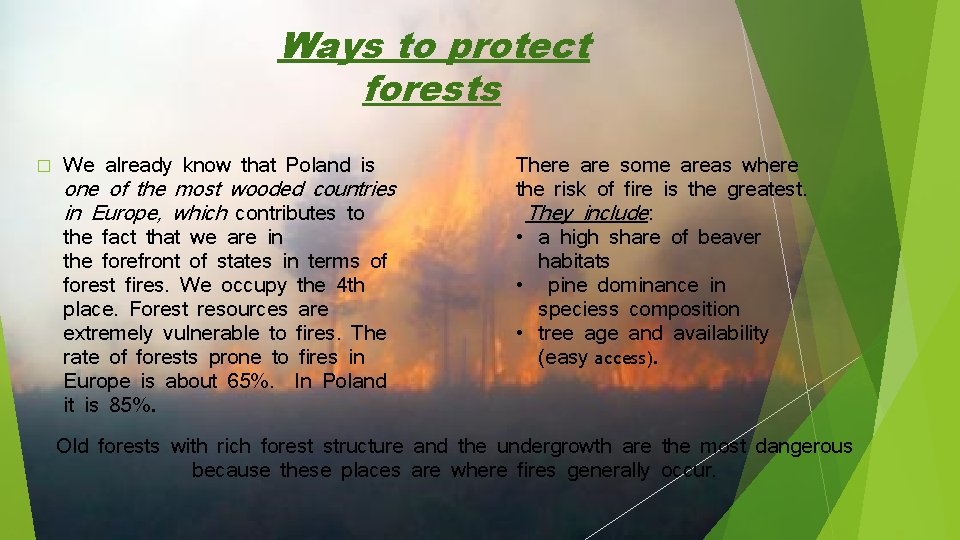  � Ways to protect forests We already know that Poland is one of