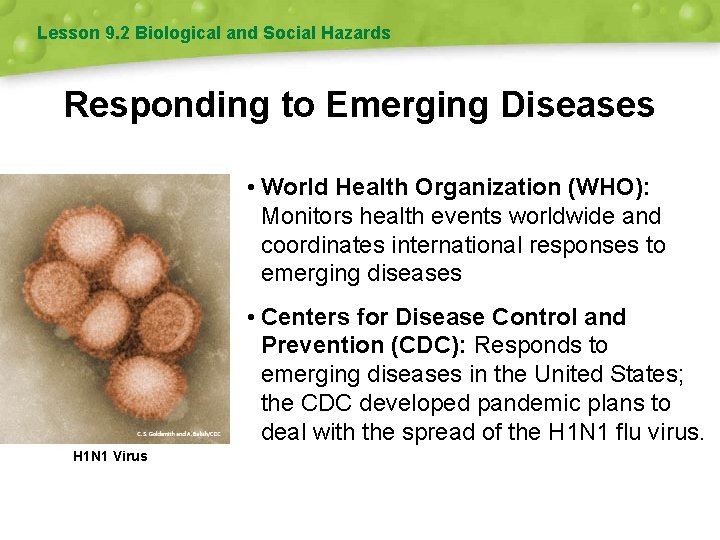 Lesson 9. 2 Biological and Social Hazards Responding to Emerging Diseases • World Health