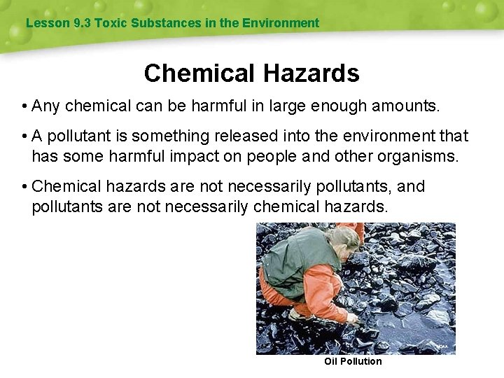 Lesson 9. 3 Toxic Substances in the Environment Chemical Hazards • Any chemical can