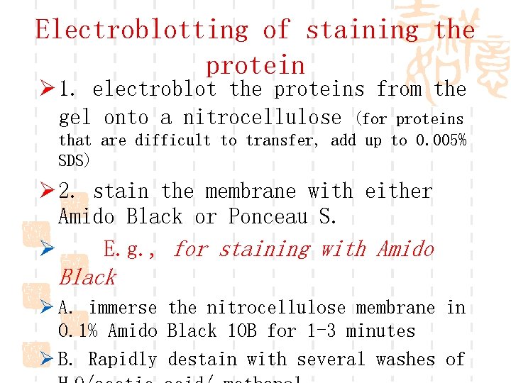 Electroblotting of staining the protein Ø 1. electroblot the proteins from the gel onto
