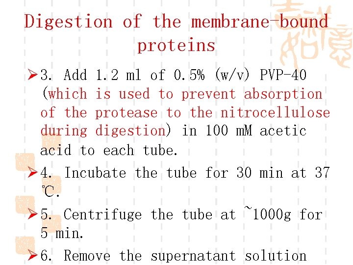 Digestion of the membrane-bound proteins Ø 3. Add 1. 2 ml of 0. 5%