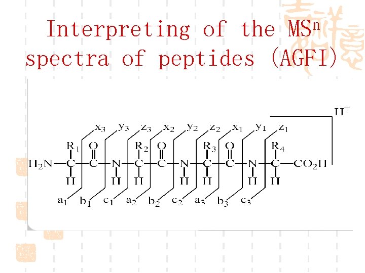 n MS Interpreting of the spectra of peptides (AGFI) 