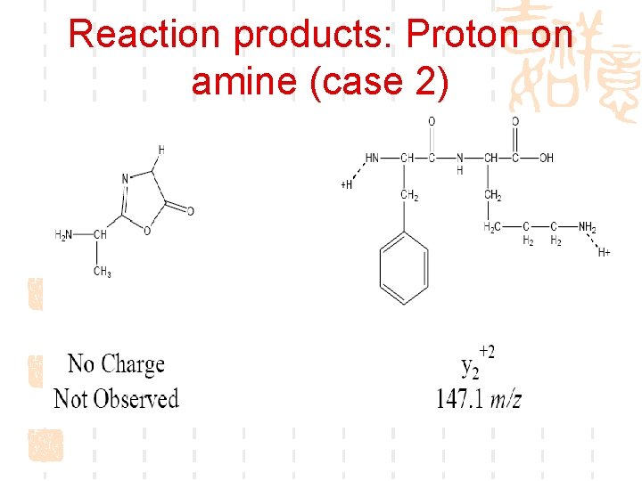 Reaction products: Proton on amine (case 2) 