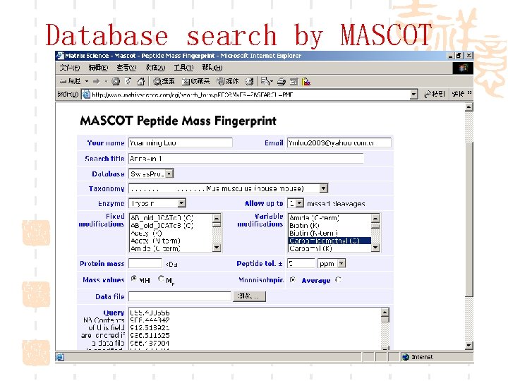 Database search by MASCOT 