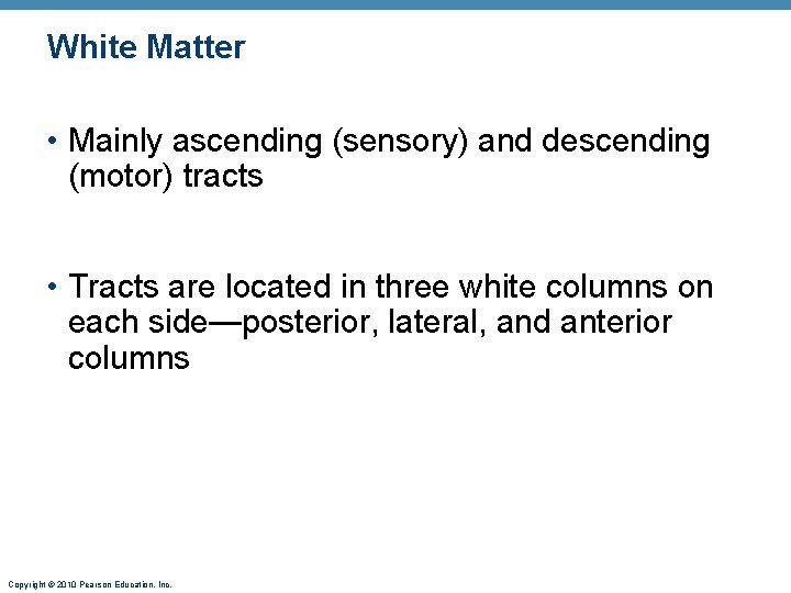White Matter • Mainly ascending (sensory) and descending (motor) tracts • Tracts are located