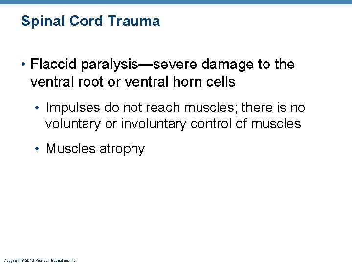 Spinal Cord Trauma • Flaccid paralysis—severe damage to the ventral root or ventral horn