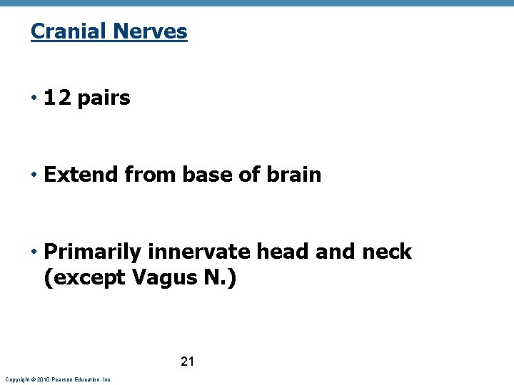 Cranial Nerves • 12 pairs • Extend from base of brain • Primarily innervate
