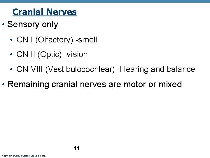 Cranial Nerves • Sensory only • CN I (Olfactory) -smell • CN II (Optic)