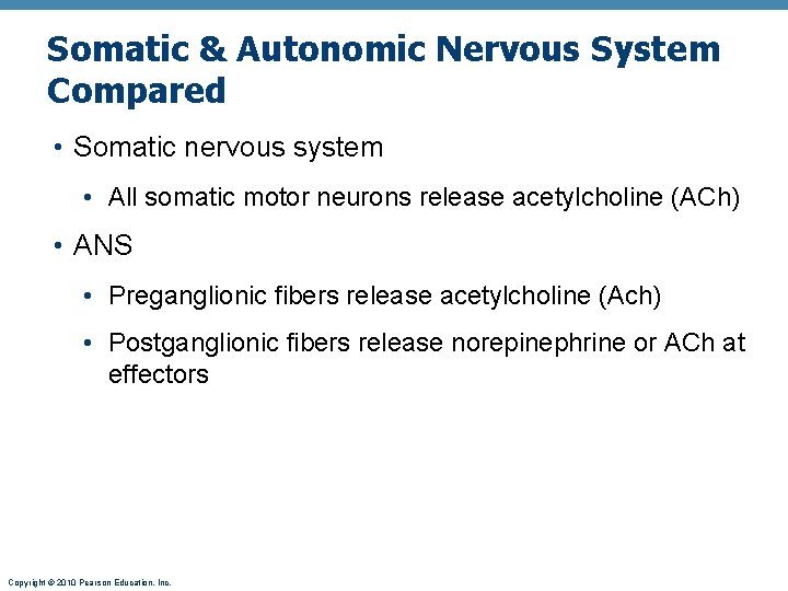 Somatic & Autonomic Nervous System Compared • Somatic nervous system • All somatic motor