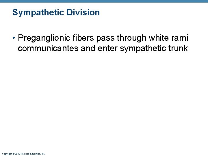 Sympathetic Division • Preganglionic fibers pass through white rami communicantes and enter sympathetic trunk