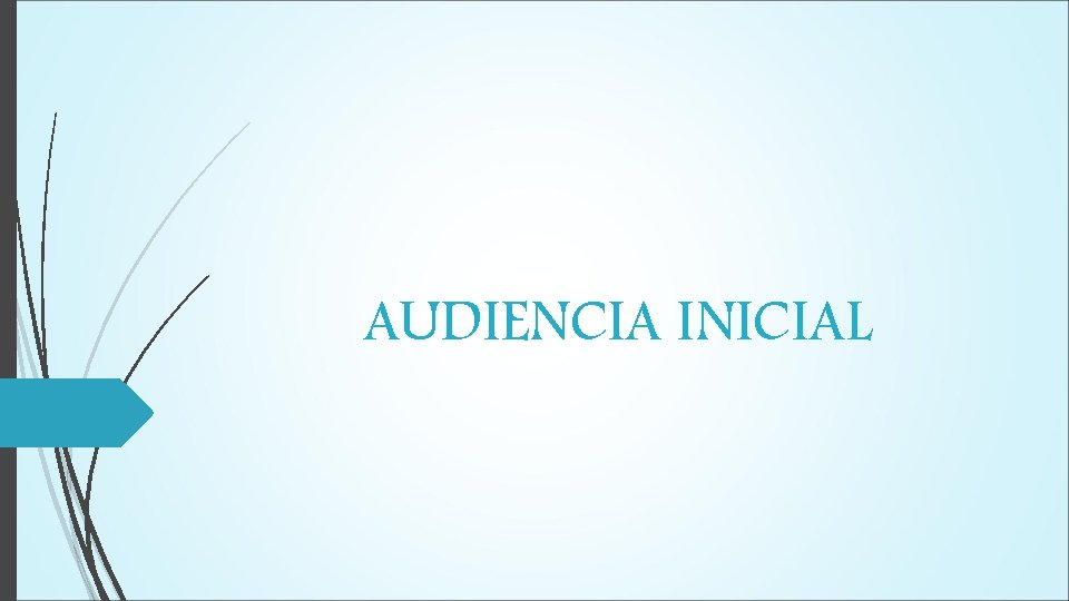 AUDIENCIA INICIAL 