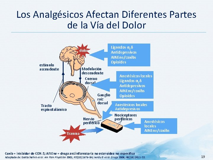 Los Analgésicos Afectan Diferentes Partes de la Vía del Dolor Ligandos α 2δ Antidepresivos