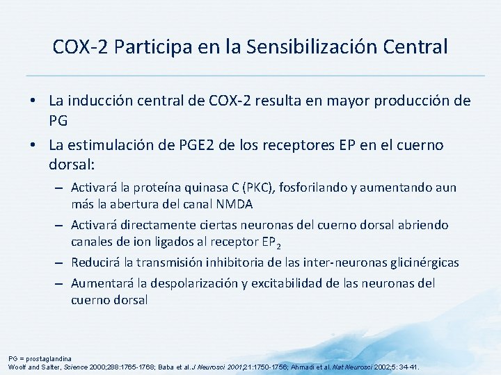 COX-2 Participa en la Sensibilización Central • La inducción central de COX-2 resulta en