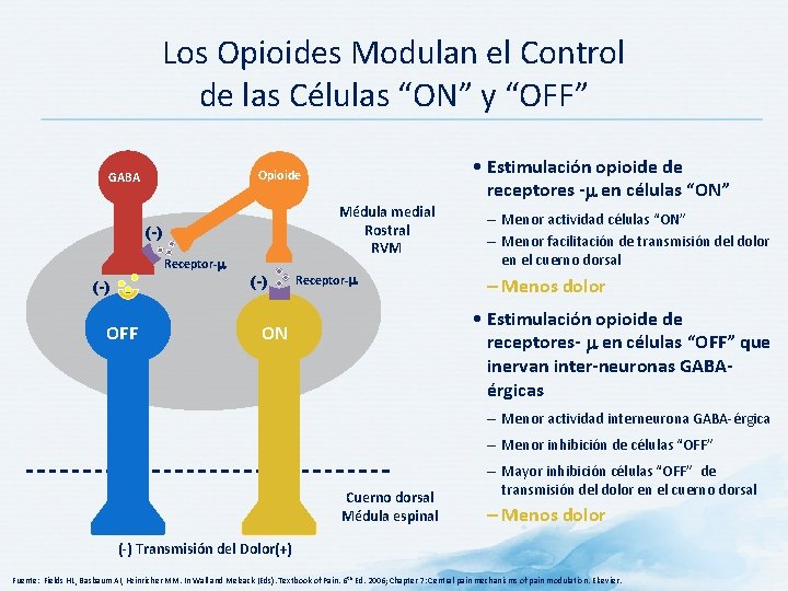 Los Opioides Modulan el Control de las Células “ON” y “OFF” Médula medial Rostral