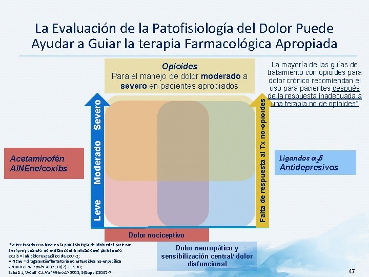 La Evaluación de la Patofisiología del Dolor Puede Ayudar a Guiar la terapia Farmacológica