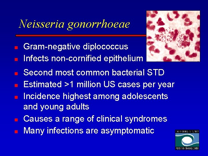 Neisseria gonorrhoeae n n n n Gram-negative diplococcus Infects non-cornified epithelium Second most common