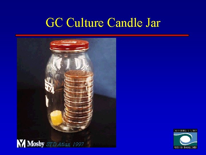 GC Culture Candle Jar STD Atlas, 1997 