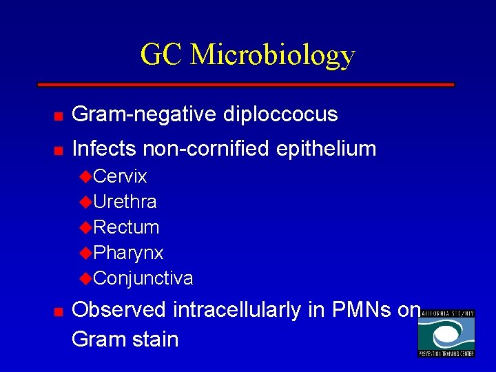 GC Microbiology n Gram-negative diploccocus n Infects non-cornified epithelium u. Cervix u. Urethra u.