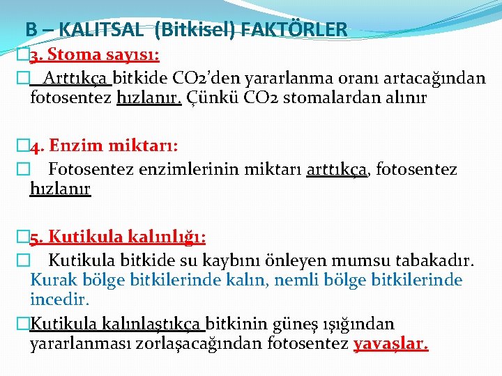 B – KALITSAL (Bitkisel) FAKTÖRLER � 3. Stoma sayısı: � Arttıkça bitkide CO 2’den