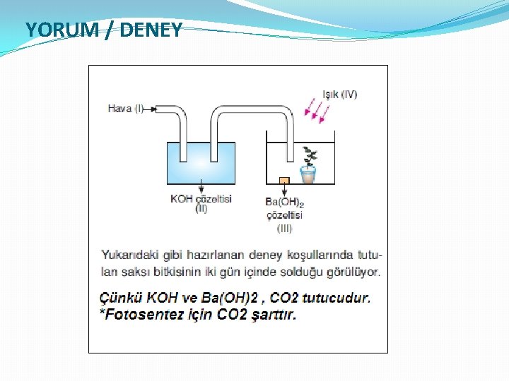 YORUM / DENEY 