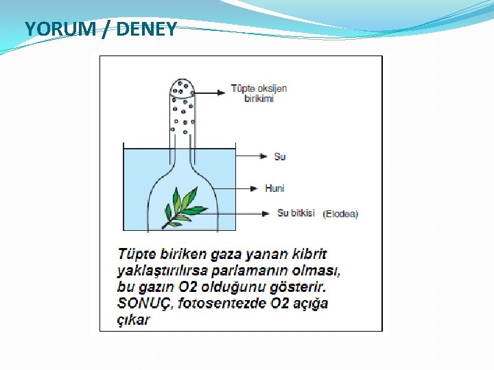 YORUM / DENEY 