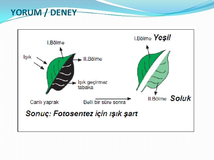 YORUM / DENEY 
