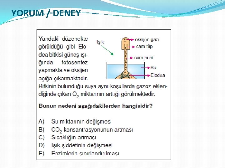 YORUM / DENEY 