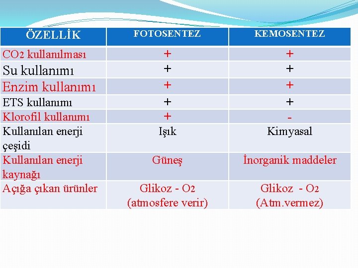 ÖZELLİK CO 2 kullanılması Su kullanımı Enzim kullanımı ETS kullanımı Klorofil kullanımı Kullanılan enerji