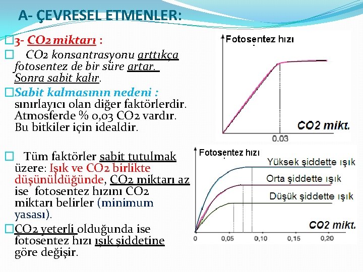 A- ÇEVRESEL ETMENLER: � 3 - CO 2 miktarı : � CO 2 konsantrasyonu