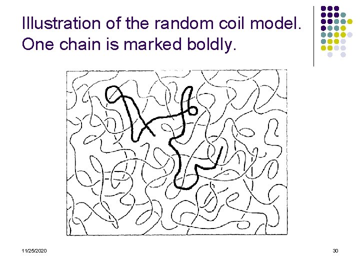 Illustration of the random coil model. One chain is marked boldly. 11/25/2020 30 