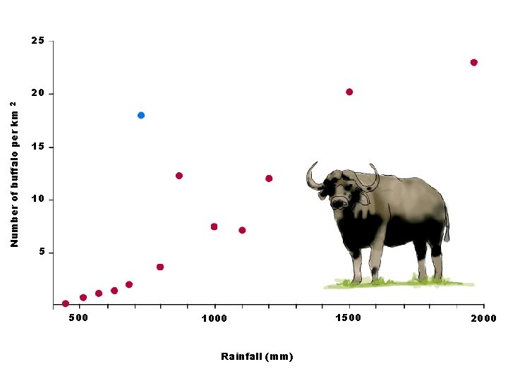 25 Number of buffalo per km 2 20 15 10 5 500 1000 Rainfall