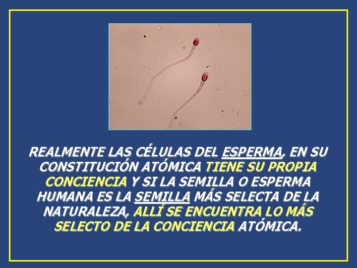 REALMENTE LAS CÉLULAS DEL ESPERMA, EN SU CONSTITUCIÓN ATÓMICA TIENE SU PROPIA CONCIENCIA Y REALMENTE LAS CÉLULAS DEL ESPERMA, EN SU CONSTITUCIÓN ATÓMICA TIENE SU PROPIA CONCIENCIA Y