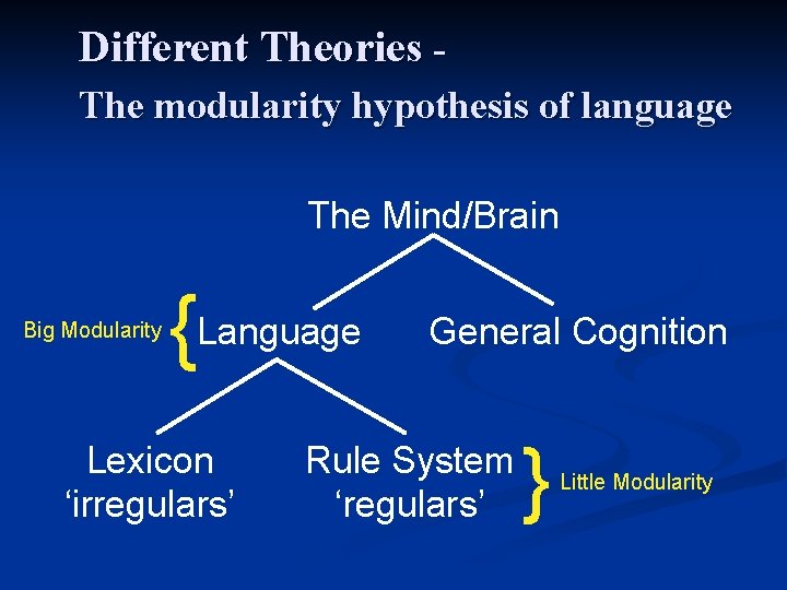 Different Theories The modularity hypothesis of language The Mind/Brain Big Modularity {Language Lexicon ‘irregulars’