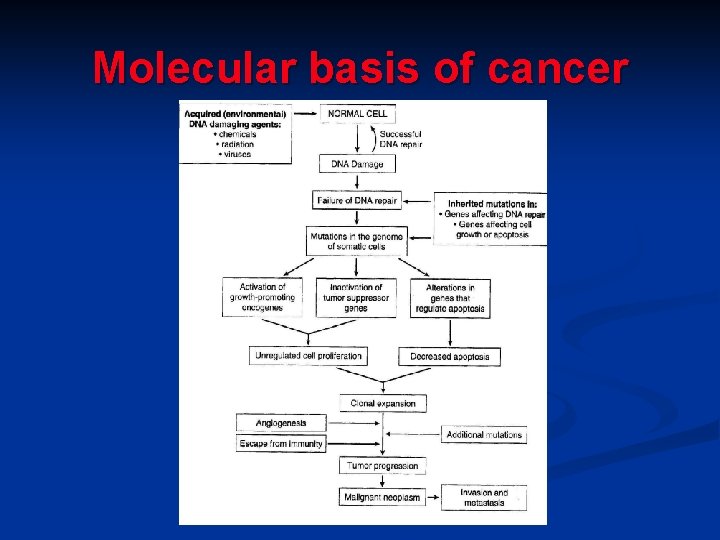 Molecular basis of cancer 