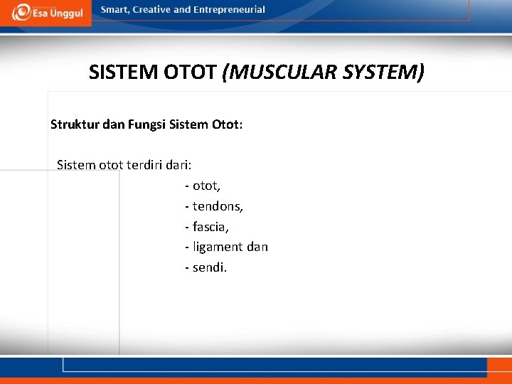 SISTEM OTOT (MUSCULAR SYSTEM) Struktur dan Fungsi Sistem Otot: Sistem otot terdiri dari: -