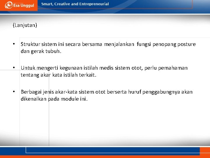 (Lanjutan) • Struktur sistem ini secara bersama menjalankan fungsi penopang posture dan gerak tubuh.