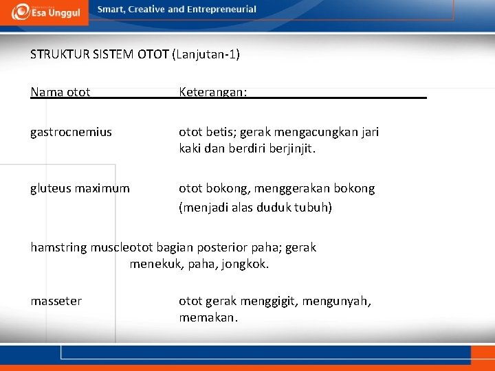 STRUKTUR SISTEM OTOT (Lanjutan-1) Nama otot Keterangan: gastrocnemius otot betis; gerak mengacungkan jari kaki