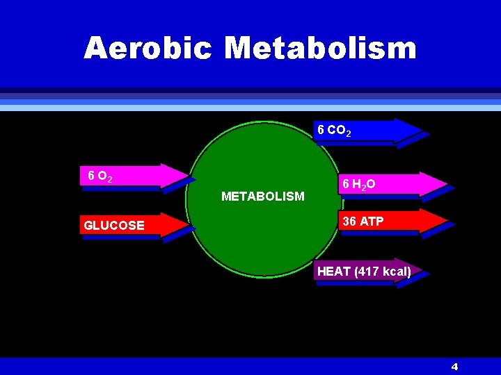 Aerobic Metabolism 6 CO 2 6 O 2 METABOLISM GLUCOSE 6 H 2 O