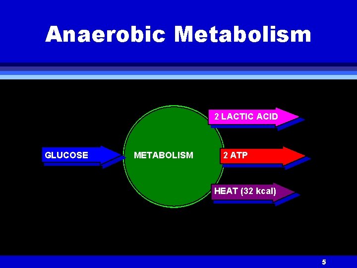 Anaerobic Metabolism 2 LACTIC ACID GLUCOSE METABOLISM 2 ATP HEAT (32 kcal) 5 