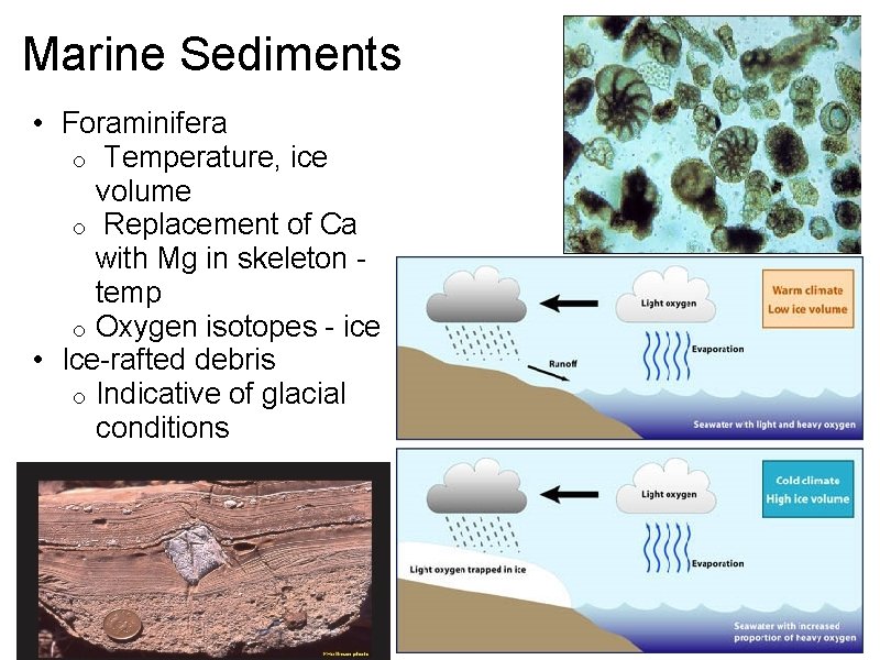 Marine Sediments • Foraminifera o Temperature, ice volume o Replacement of Ca with Mg