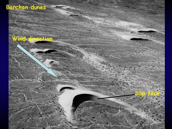 Barchan dunes Wind direction Slip face 