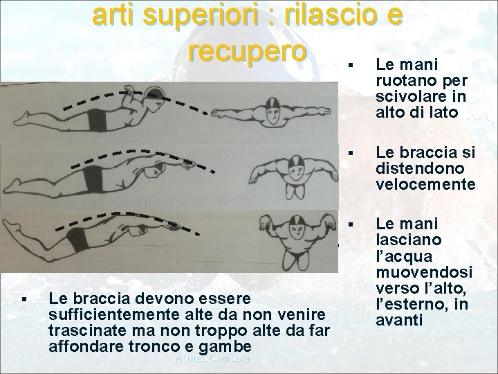 arti superiori : rilascio e recupero § Le mani ruotano per scivolare in alto