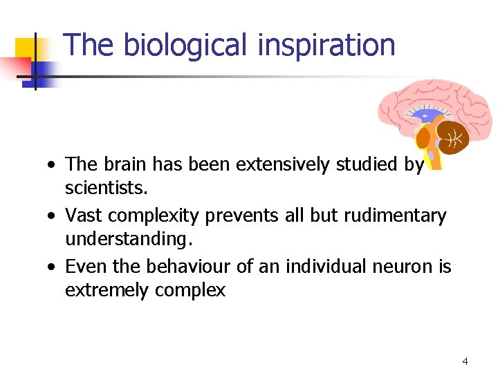 The biological inspiration • The brain has been extensively studied by scientists. • Vast