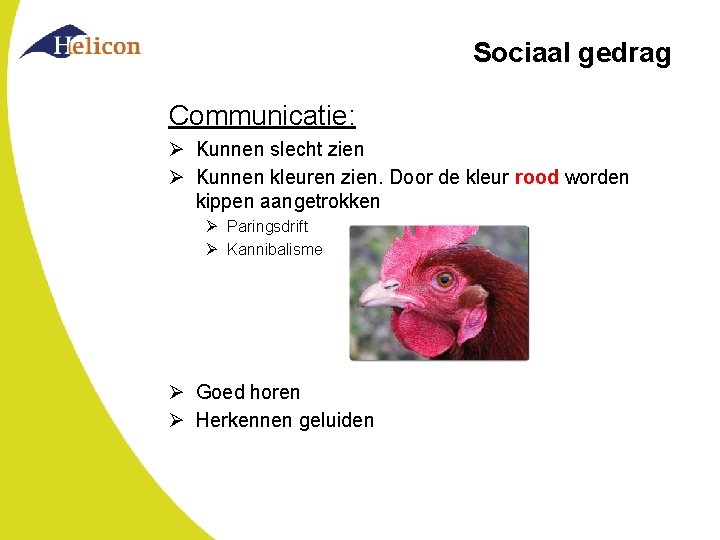 Sociaal gedrag Communicatie: Ø Kunnen slecht zien Ø Kunnen kleuren zien. Door de kleur