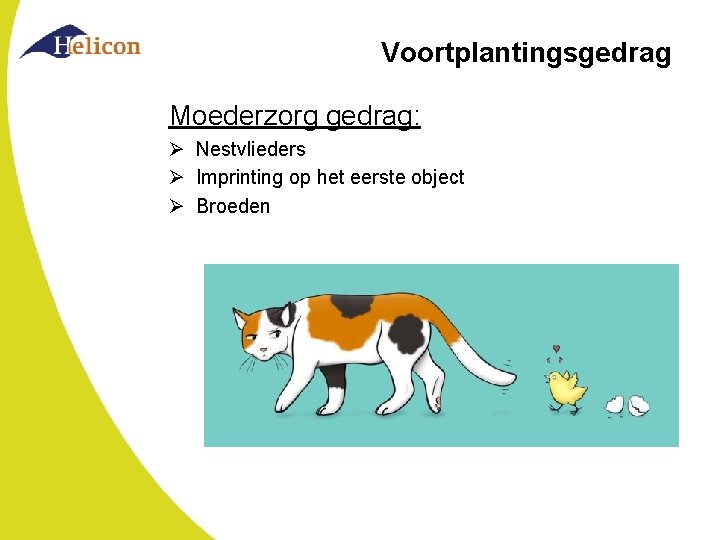 Voortplantingsgedrag Moederzorg gedrag: Ø Nestvlieders Ø Imprinting op het eerste object Ø Broeden Voortplantingsgedrag Moederzorg gedrag: Ø Nestvlieders Ø Imprinting op het eerste object Ø Broeden