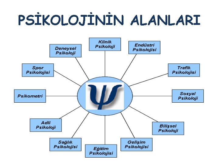 PSİKOLOJİNİN ALANLARI 