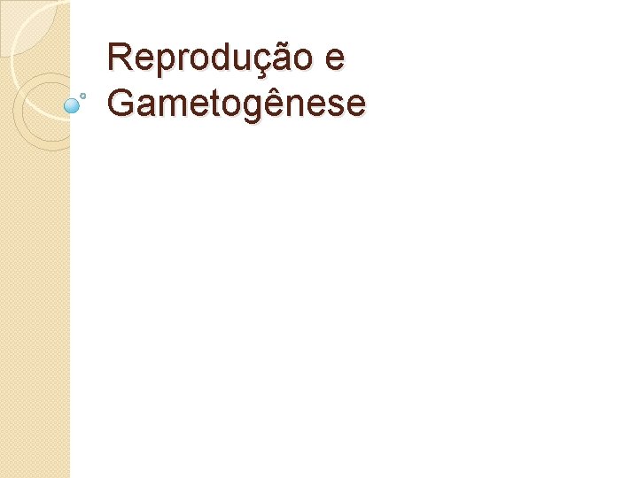 Reprodução e Gametogênese 