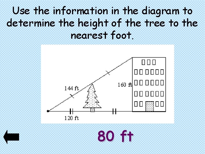 Use the information in the diagram to determine the height of the tree to